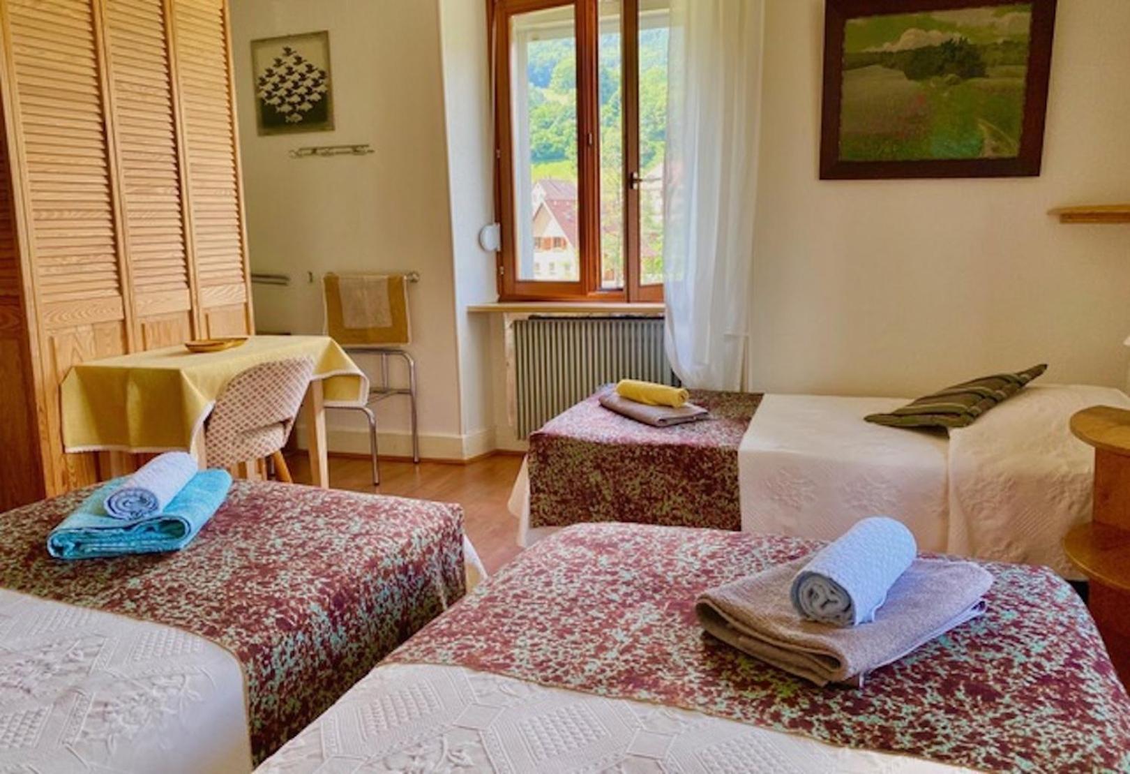 Appartements Maison Bellevue Мюнстер Екстериор снимка
